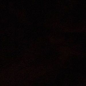 Meet your Posher, Molly